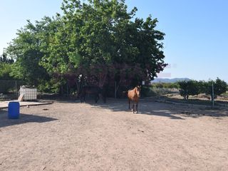 Finca rústica  Poligono poligono numero 7. Suelo rústico a la venta en massamagrell con muchas posibilidade