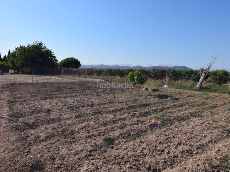 Foto bbb54b1a-54db-4e5e-a3a1-7c51b1c952cd. Finca rústica a Massamagrell