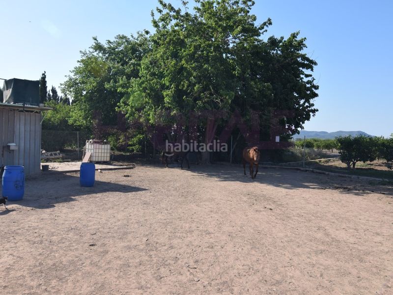Foto d6e08bf9-b340-426f-b013-9a3cbdca36e7. Finca rústica a Massamagrell