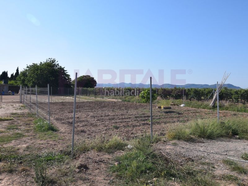 Foto ee54ad47-8921-42ec-b506-a2c9e72b400b. Finca rústica a Massamagrell