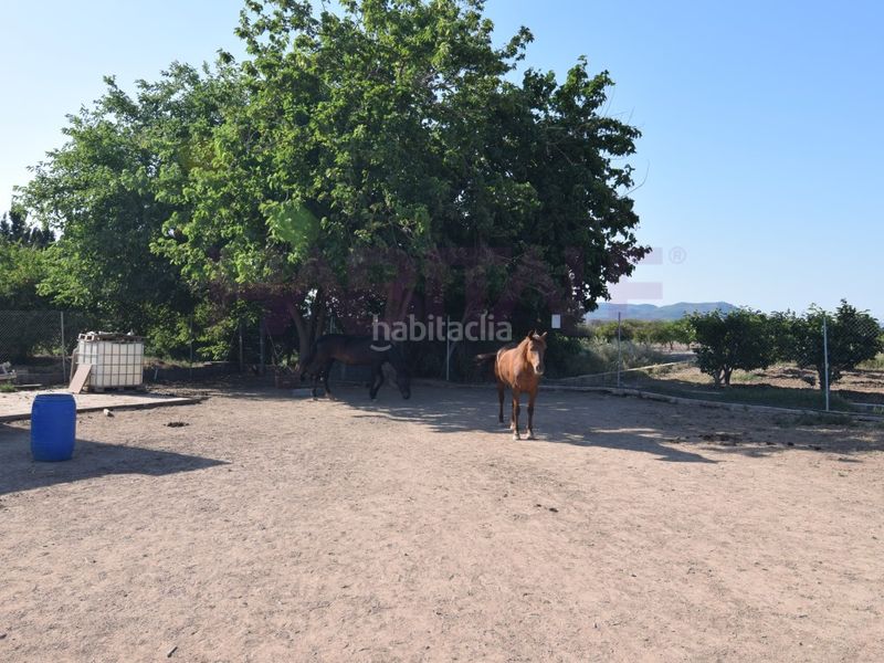 Foto f13a7c6d-fbe6-4093-8b31-1c044afaf4bc. Finca rústica a Massamagrell
