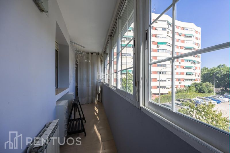 Foto 0a6d2247-a20c-4e37-a7ae-3d034d8c25c6. Pis a Pinar del Rey Madrid
