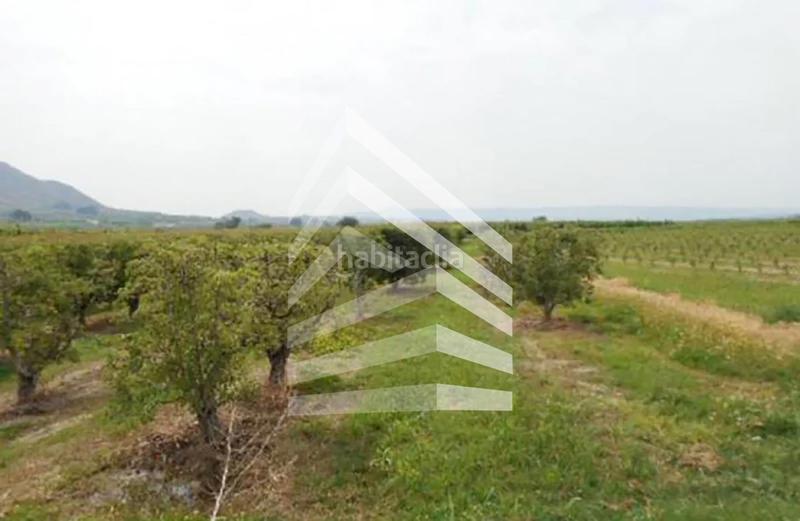 Foto 9c1b7f05-3b9e-412d-b36c-202d81321270. Propriété dans Massalcoreig