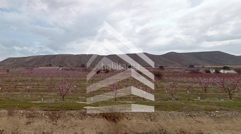 Foto 15076741-72cf-4b73-a4b8-75aefdb3343d. Finca rústica en Massalcoreig