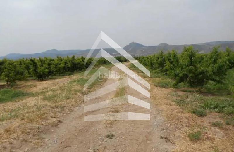 Foto 7b2cb8af-c3a9-413e-a63f-ff03cdba9bc7. Finca rústica en Massalcoreig