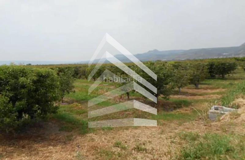 Foto d11638fc-6dda-4361-84c1-8de2a9430474. Finca rústica en Massalcoreig