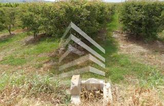 Terreno residenziale  Camí de les vinyes