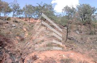 Terreno residenziale  Carrer planell