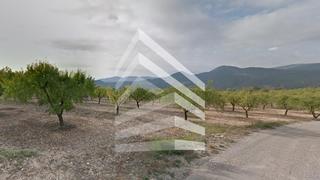 Terreno residencial  Sin nombre