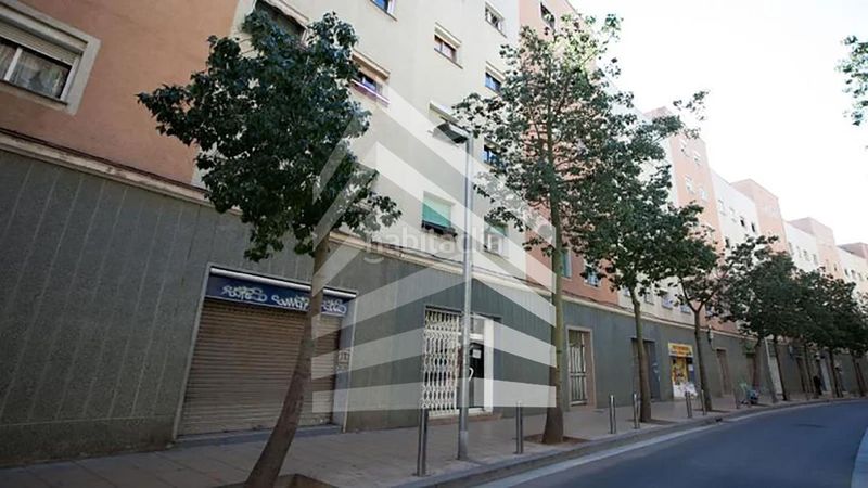 Foto b8c04cd1-1d50-49cf-9da9-547bb3262894. Pis a Turó de la Peira Barcelona