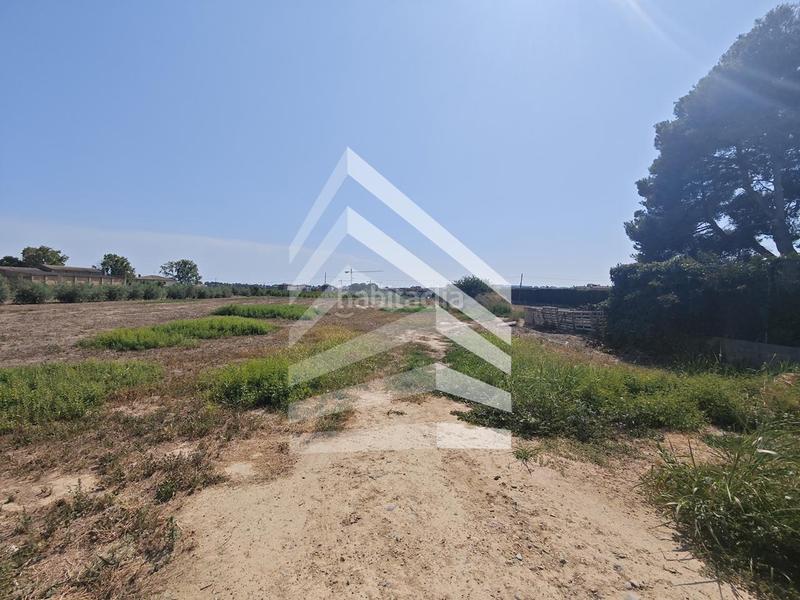 Foto 24904da6-f2a7-409c-95af-af952571f5c3. Terreny residencial a Alpicat