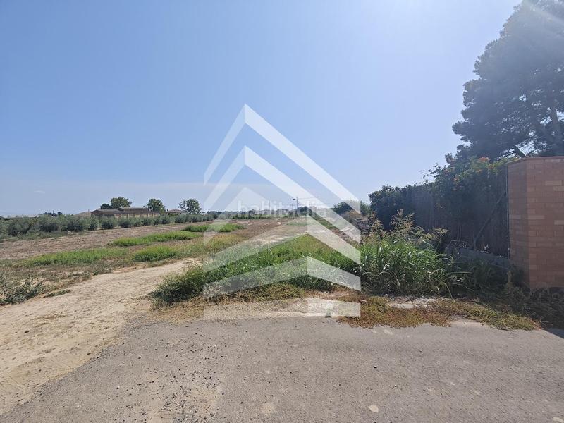 Foto 956d3663-85ee-4a2c-89e2-81cac10403ef. Residential plot in Alpicat