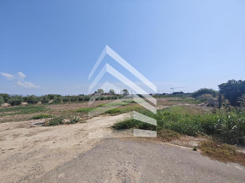 Foto ae0f66ef-055f-45c4-974b-a3f1135242cd. Residential plot in Alpicat