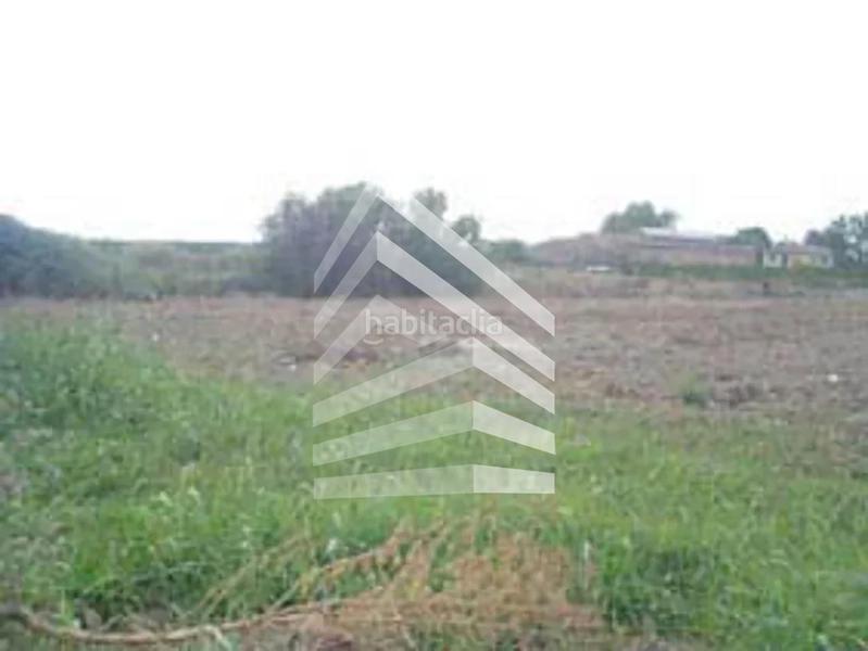 Foto d4eee6ec-9d95-4678-bbc6-e8fea8c8450e. Residential plot in Alpicat