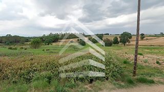 Residential Plot  Picornell