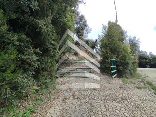 House  Barri el coll