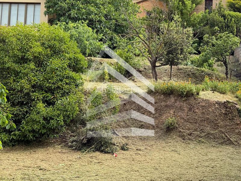 Foto 0a56c0b9-ae20-49a9-ac81-c6bfabc727a9. Terreny residencial a Solsona