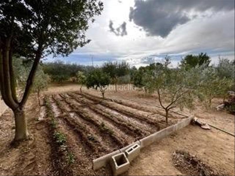 Foto 34c95b0f-d0e1-4f97-b23f-391b5d39aeea. Masia amb aparcament a Calvià poble Calvià