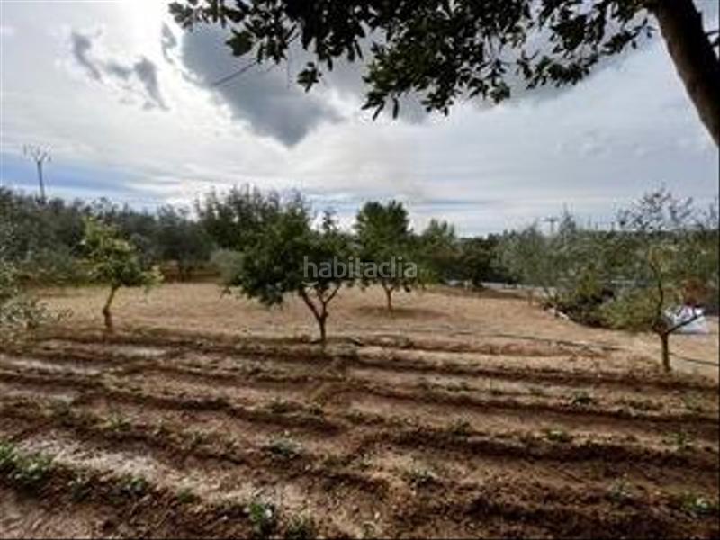 Foto 8e94ca95-5a82-4780-b931-9a1738824713. Masia amb aparcament a Calvià poble Calvià