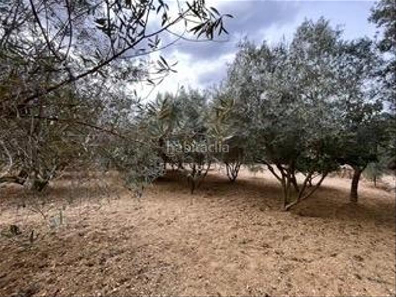 Foto c425cac2-fc8a-4efa-b2a0-78c9346dc324. Masia amb aparcament a Calvià poble Calvià