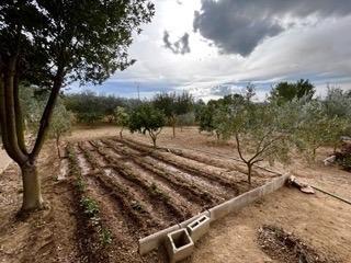 Country house  Polígono calvià. Finca rustica calvia pueblo