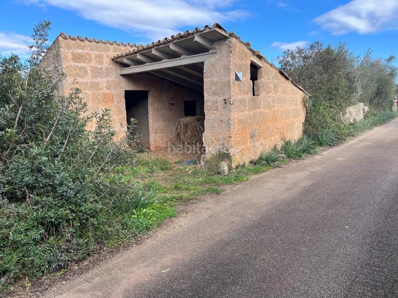 Foto 1105bd6e-cb6c-4114-bad3-5257e60bde2f. Finca rústica se vende trerreno edificable en pina en Algaida