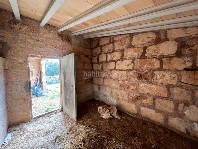 Foto 1ece644e-e596-4d17-b874-dbd6e9bb5650. Finca rústica se vende trerreno edificable en pina en Algaida