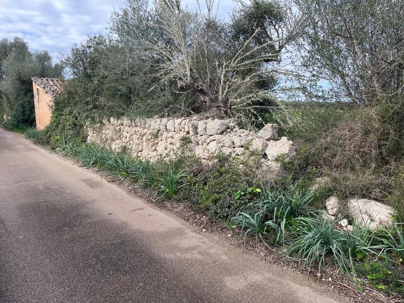 Foto 2802fcfd-9112-44c1-b2a5-e3c9dd2462ba. Finca rústica se vende trerreno edificable en pina en Algaida