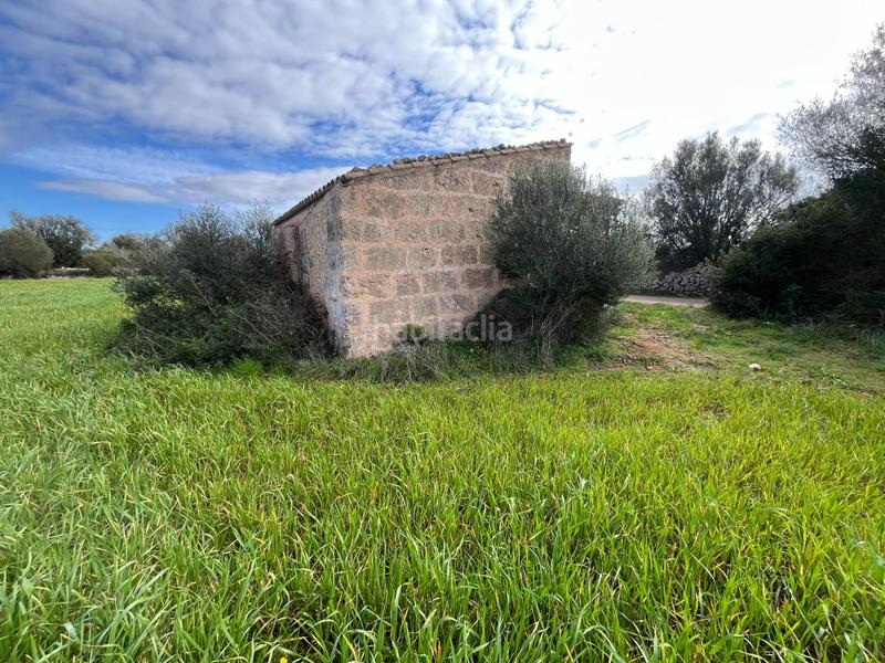 Foto 804c75dd-caa8-4d96-9e73-bca726cb37c1. Finca rústica se vende trerreno edificable en pina en Algaida
