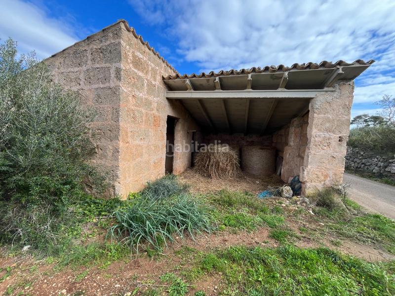 Foto b025de4e-5bcd-40df-a690-9ad228bf0595. Finca rústica se vende trerreno edificable en pina en Algaida