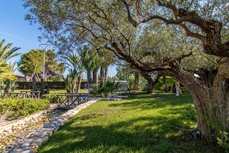 Foto 7864a77d-9da6-497b-aaf7-74e8ef00ea64. Chalet espectacular chalet en Valverde en Valverde Elche / Elx