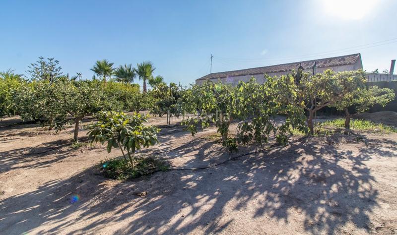 Foto 99c01e85-dfcd-4b9b-8473-1e883479004c. Chalet espectacular chalet en Valverde en Valverde Elche / Elx