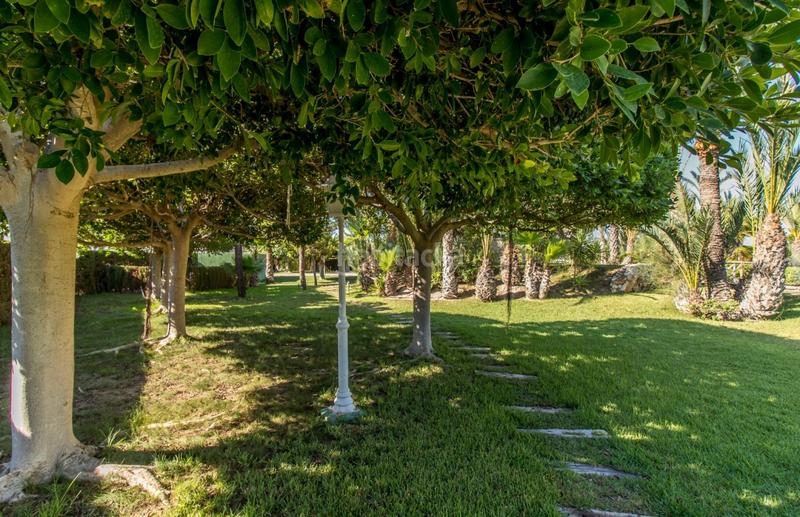 Foto d0418a58-c352-4bc5-9dcc-a03143b4c625. Chalet espectacular chalet en Valverde en Valverde Elche / Elx