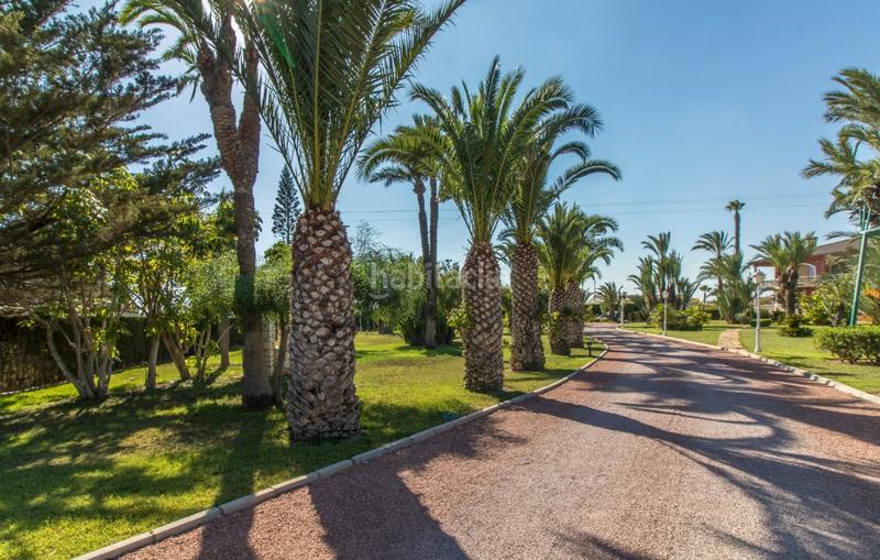 Foto e6c765b0-80c0-443f-b922-1d98f20c1c11. Chalet espectacular chalet en Valverde en Valverde Elche / Elx