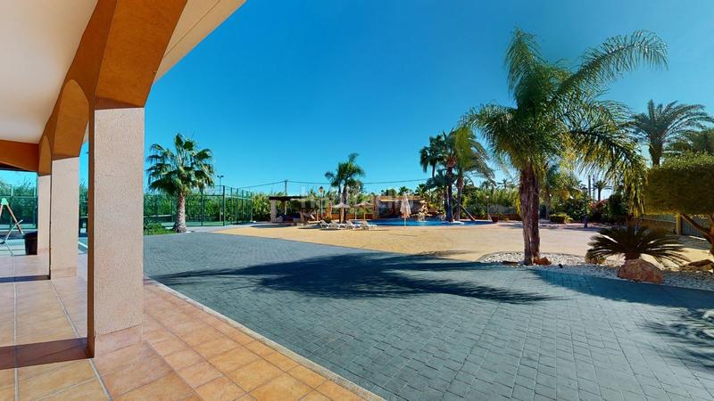 Foto 920cbc2a-af9a-4d86-95ab-d7757d5ea9bc. Xalet amb calefacció aparcament piscina a Alzabares Elche / Elx