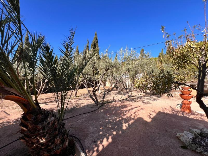 Foto e12019f1-f760-41de-8bb8-a8ee31ccaed3. Chalet con riscaldamento parcheggio piscina in Peña de las Águilas Elche / Elx