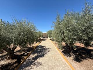 Chalet en Cortes-Huertas. Si quieres campo y todos los servicios cerca.............. este
