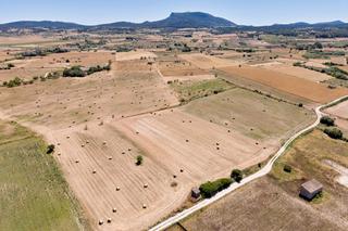 Terreno residencial  Parcela, 270. Generosa parcela con proyecto y licencia en algaida.