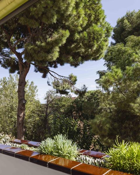 Foto 9fda034d-9fbe-440a-b97c-b55548ee956a. Pis amb aparcament a Pedralbes Barcelona