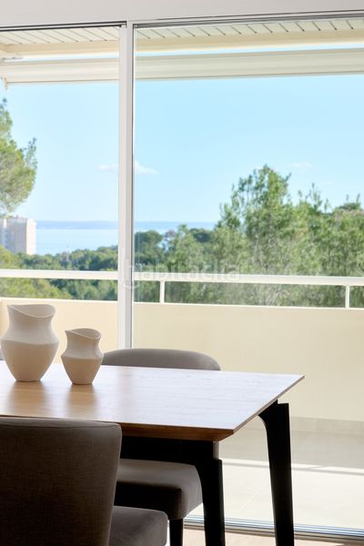 Foto 071ff864-9e23-4028-b169-e674bcf3be9e. Pis amb calefacció piscina a Calvià poble Calvià