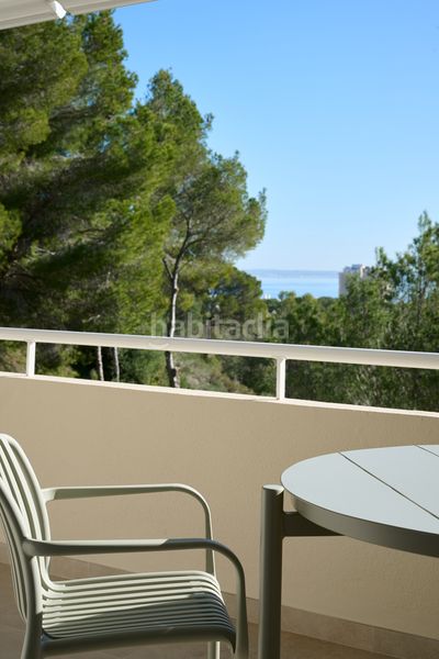 Foto ac3a350c-81aa-43fd-a7d7-f5e0f9727675. Pis amb calefacció piscina a Calvià poble Calvià