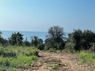 Proprit dans Canet de Mar. Terreno rustico cerca de la poblacin de canet de mar