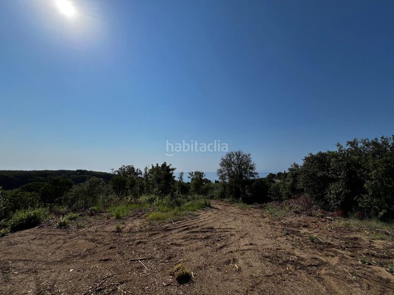 Foto 57302525-9a4f-4385-b0c4-f51bffd7c4fc. Propriété dans Canet de Mar