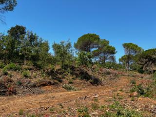 Fondo rustico in Canet de Mar. Terreno rustico cerca del mar en canet de mar