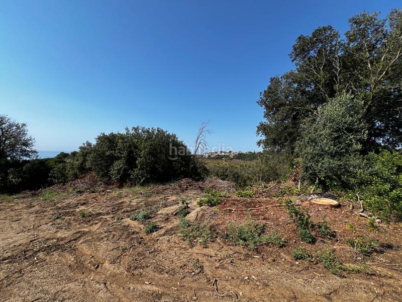 Foto caa6a2f9-3f7a-4086-be1e-508360fe22ee. Propriété dans Canet de Mar