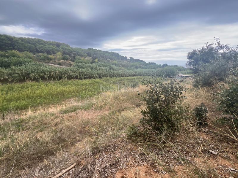 Foto 21cfe696-6cb0-403a-a26c-03c6d7b4e71a. Landgut in Canet de Mar