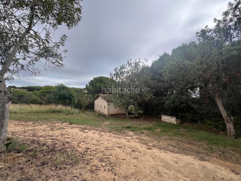 Foto 414e9521-c996-46e3-ab2a-cbb1a92c6ef0. Landgut in Canet de Mar