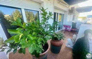 Appartement à Moxó - Sant Mori. Amplio apartamento cerca de la playa y los comercios