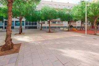 Local Comercial  Puig rom. En el centro de roses