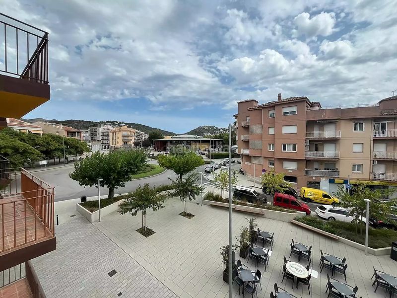 Foto 6d8cb13a-5ae9-4f91-841f-9f6314024eb6. Pis a Centre Roses